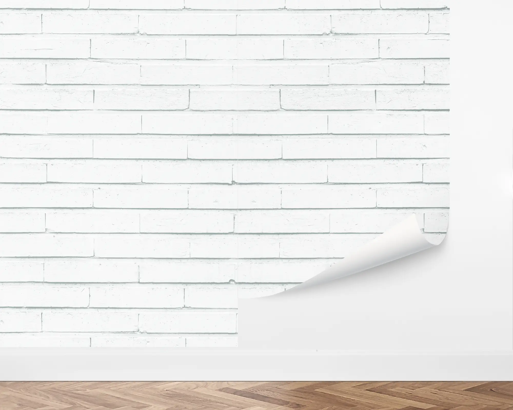 wall