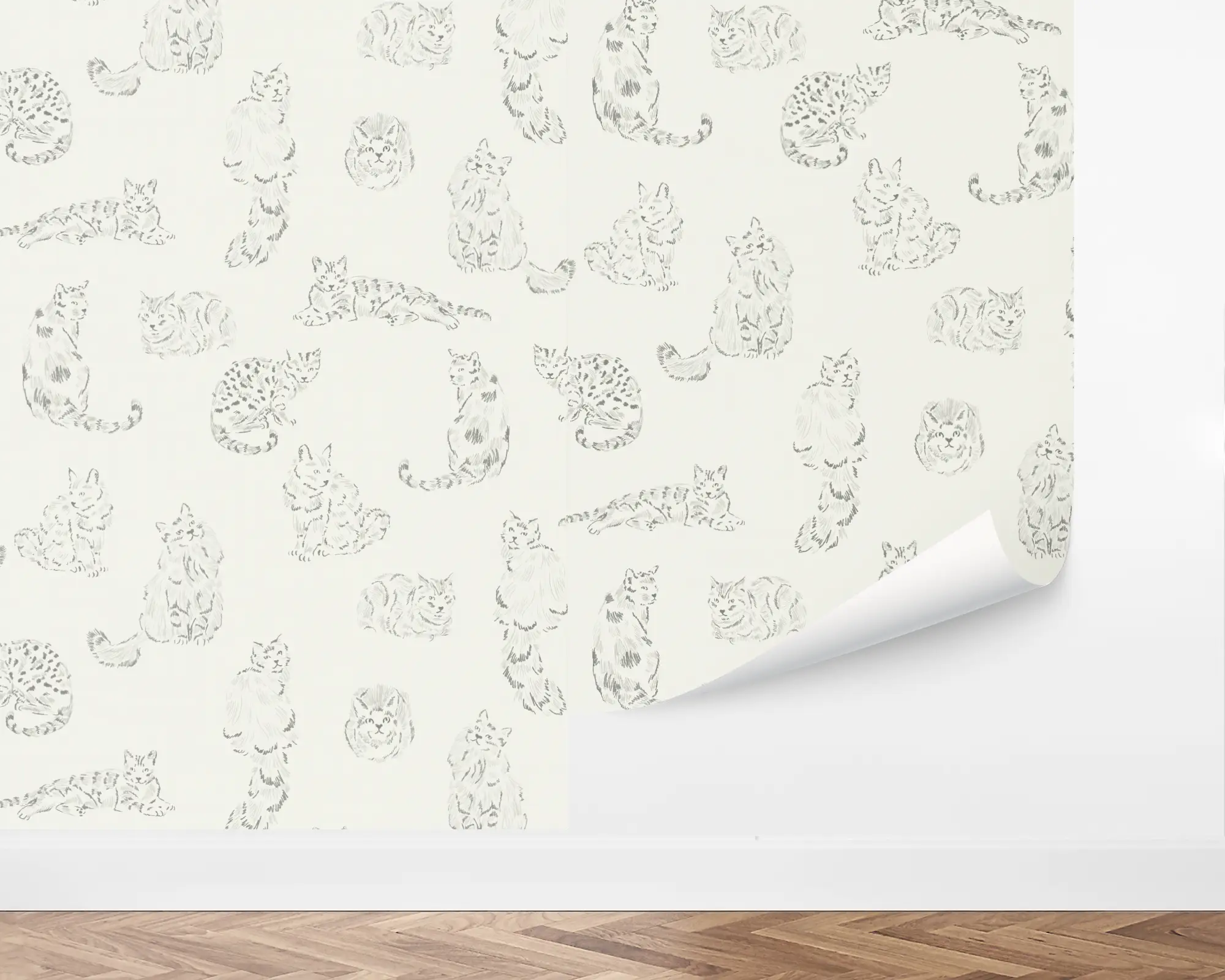 wall