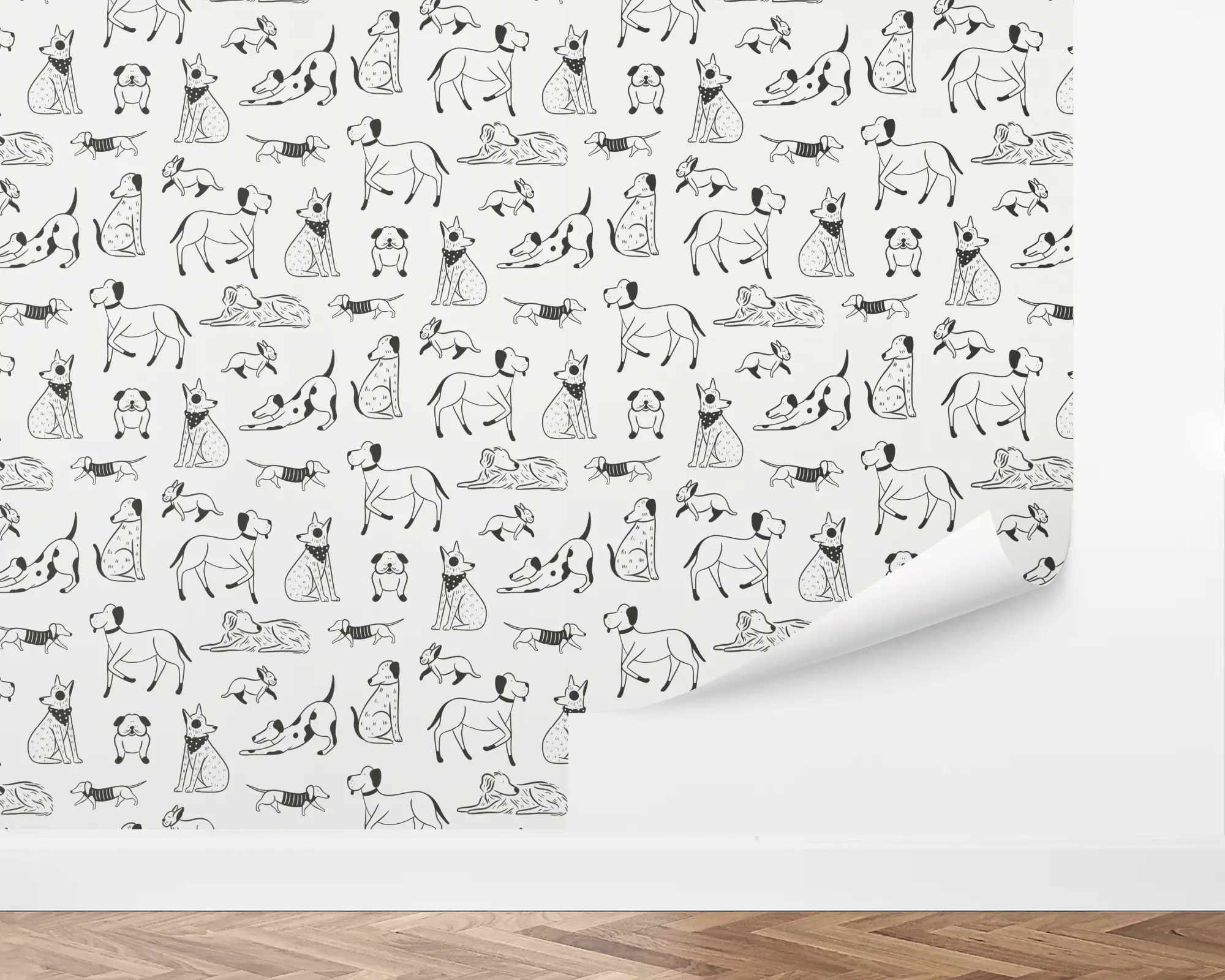 wall