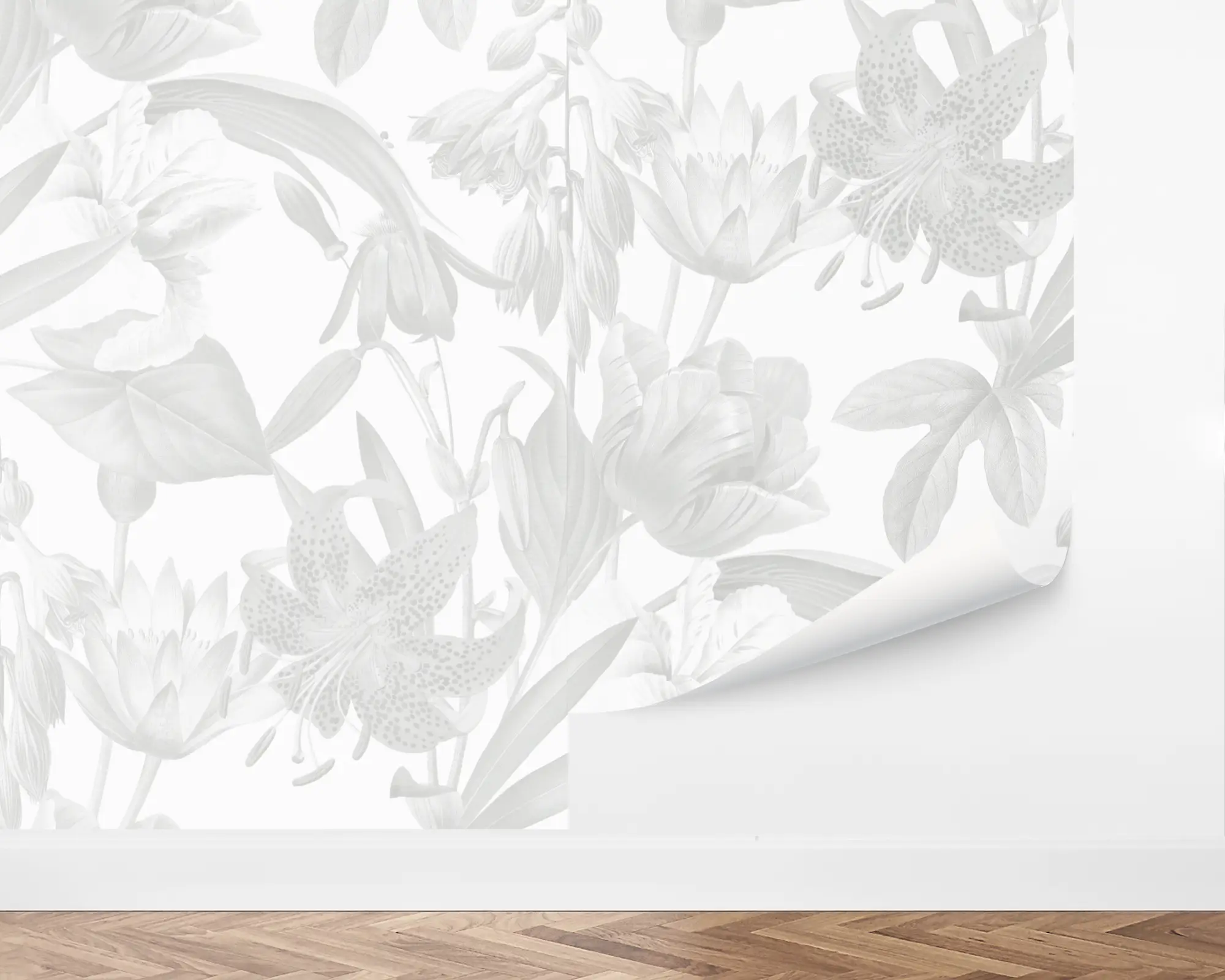 wall