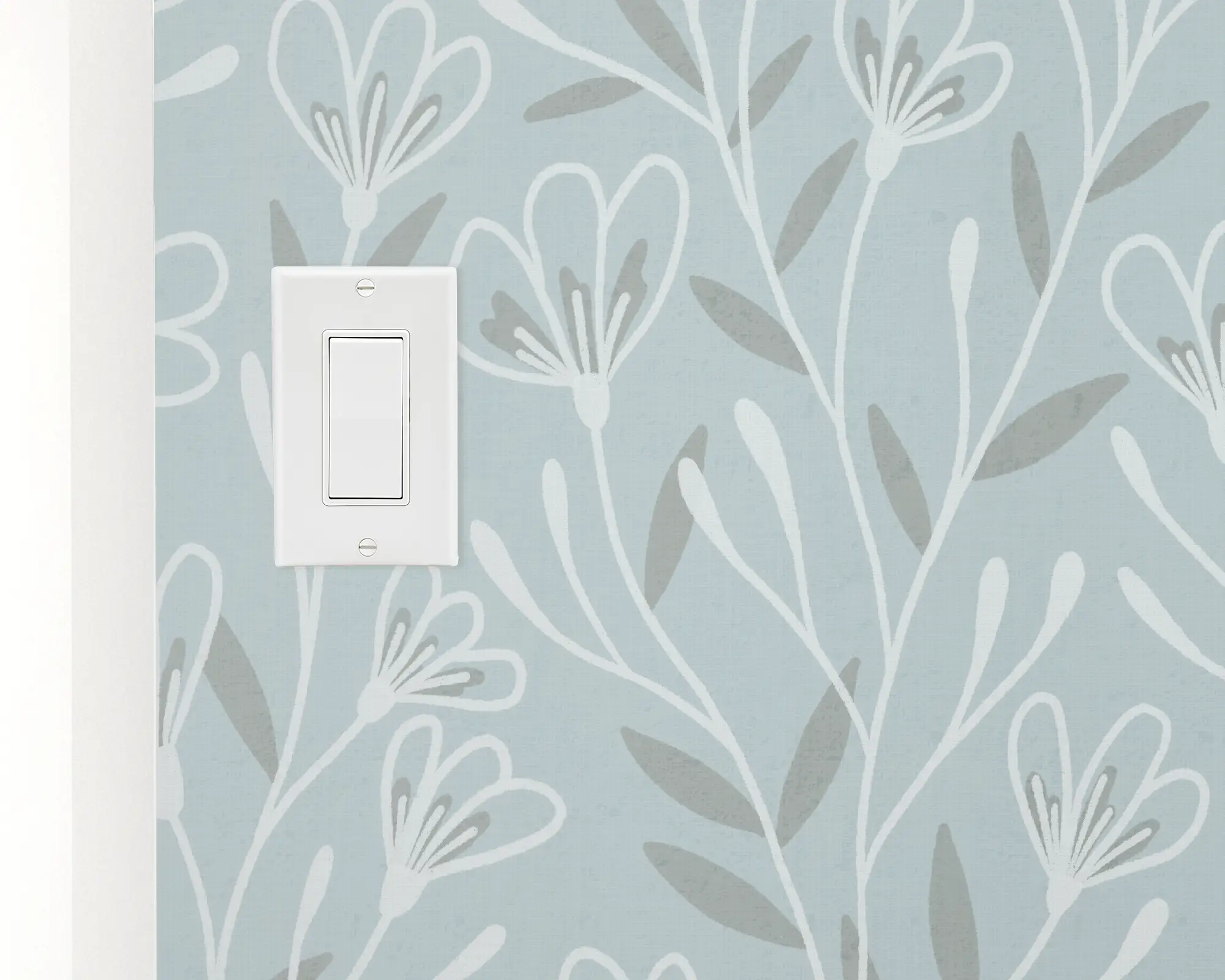 switch