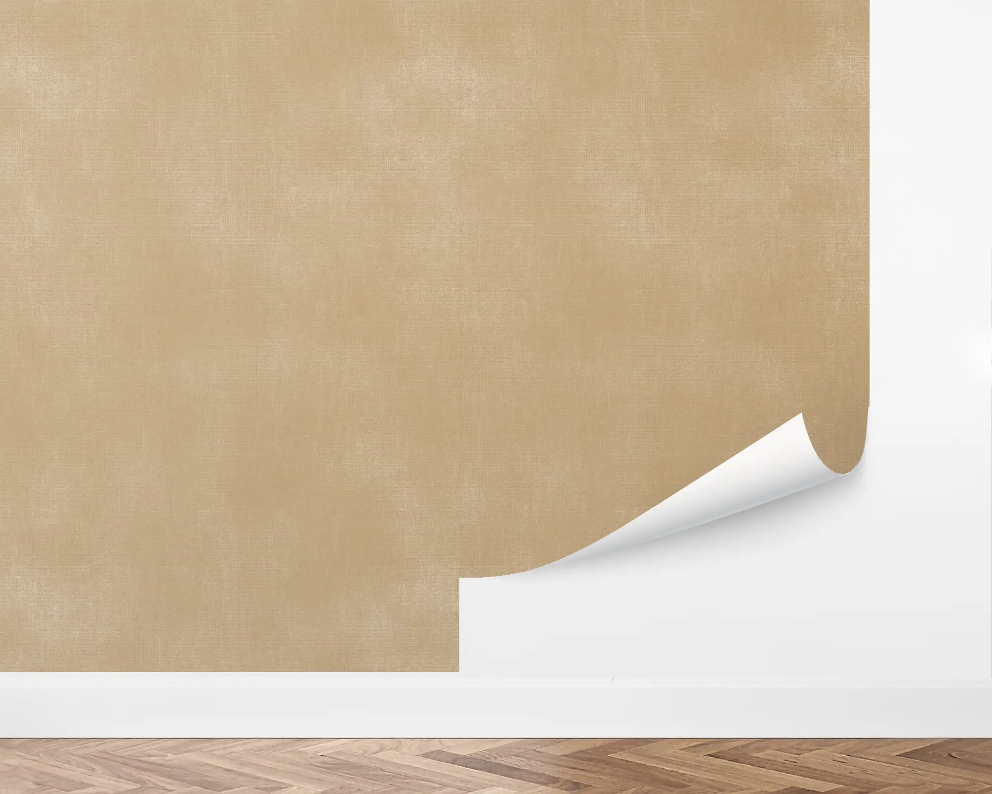 wall