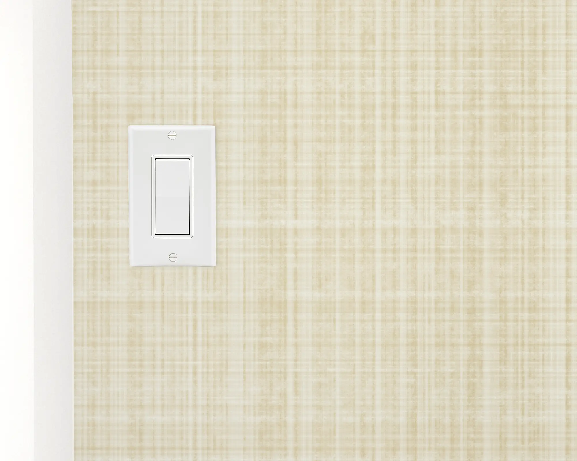 switch