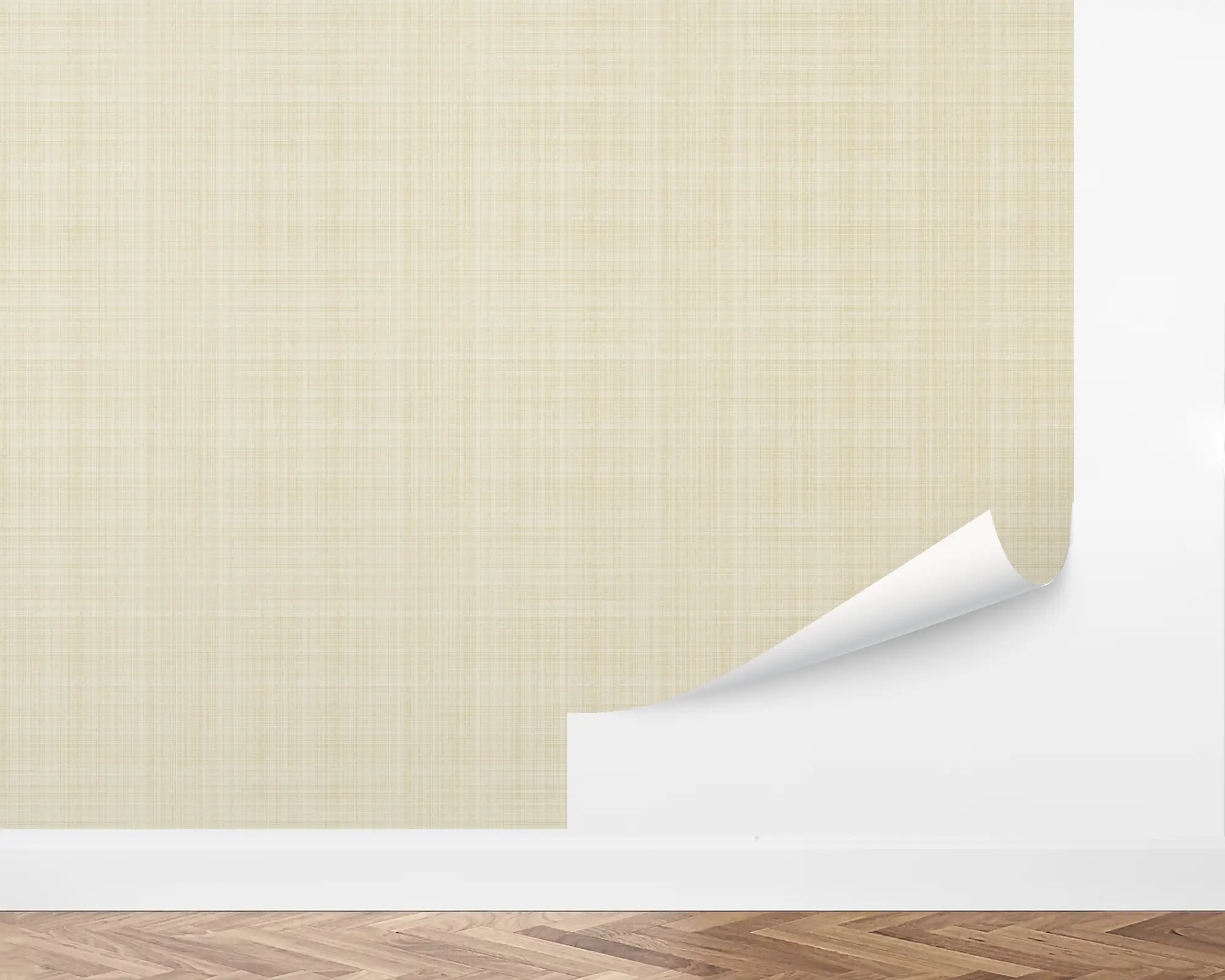 wall