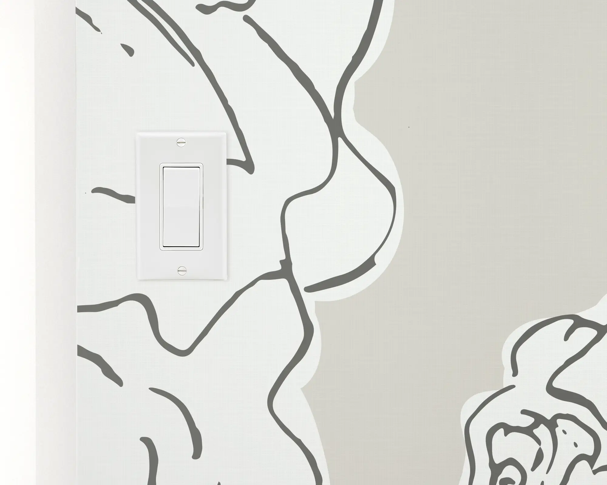 switch