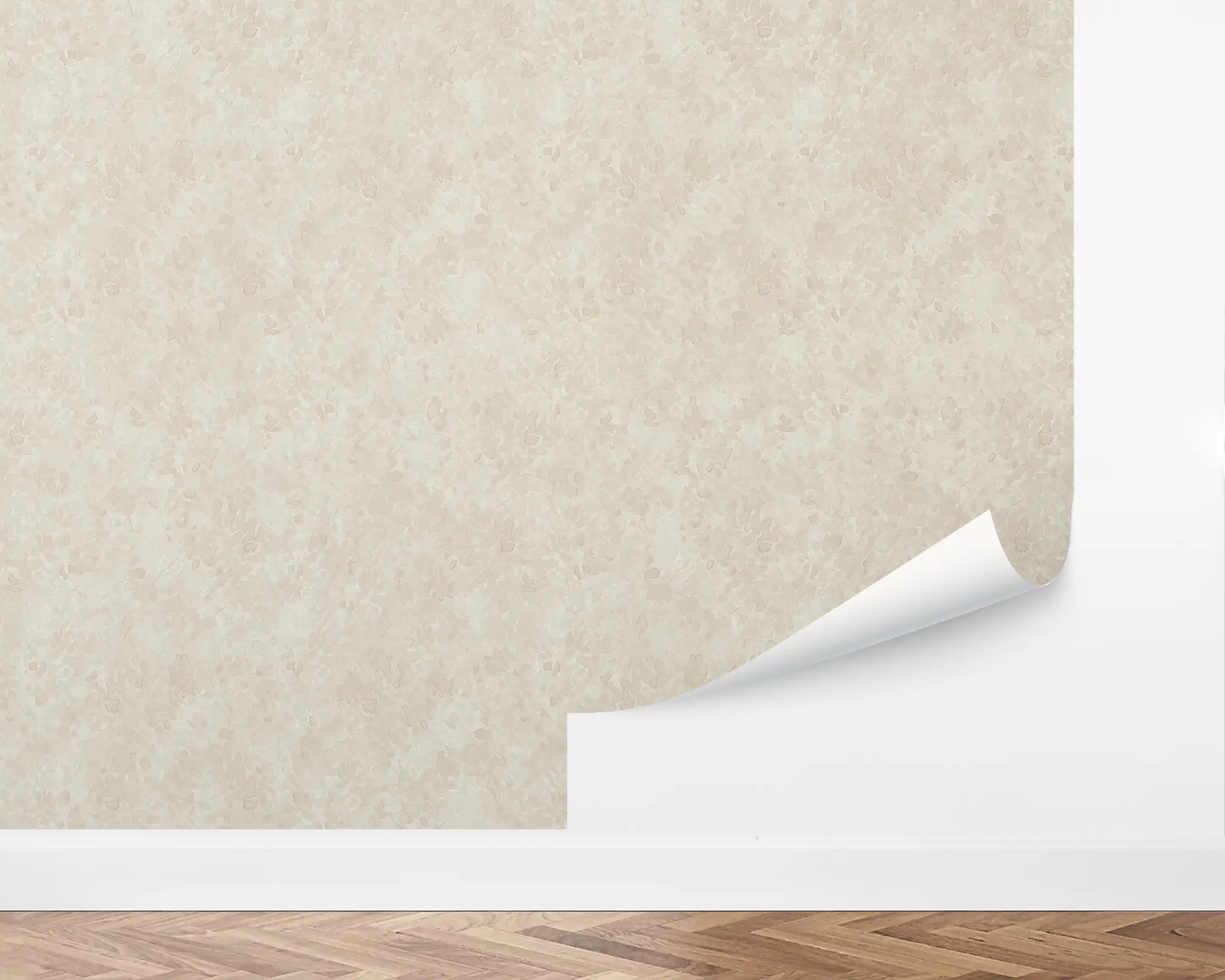 wall