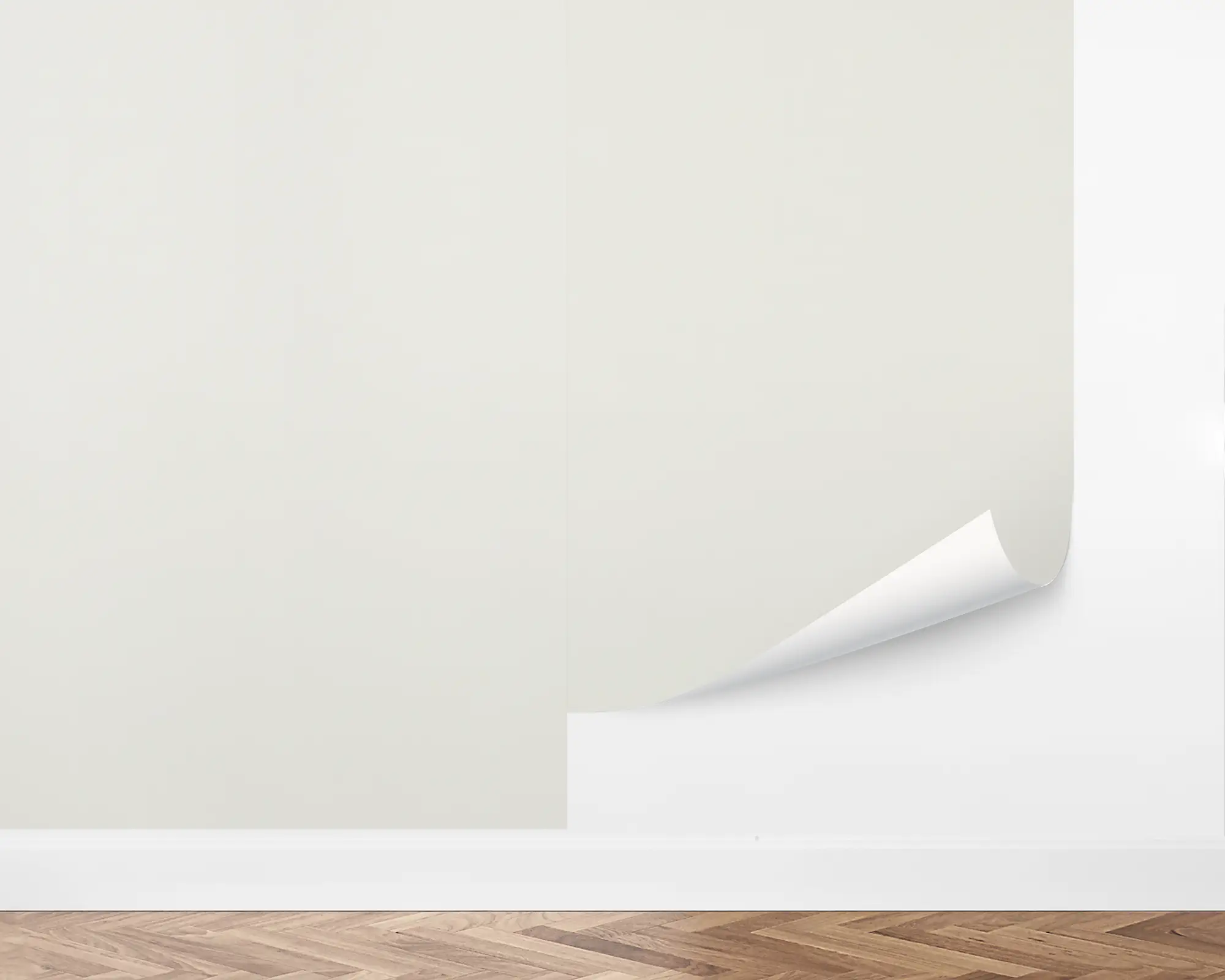 wall