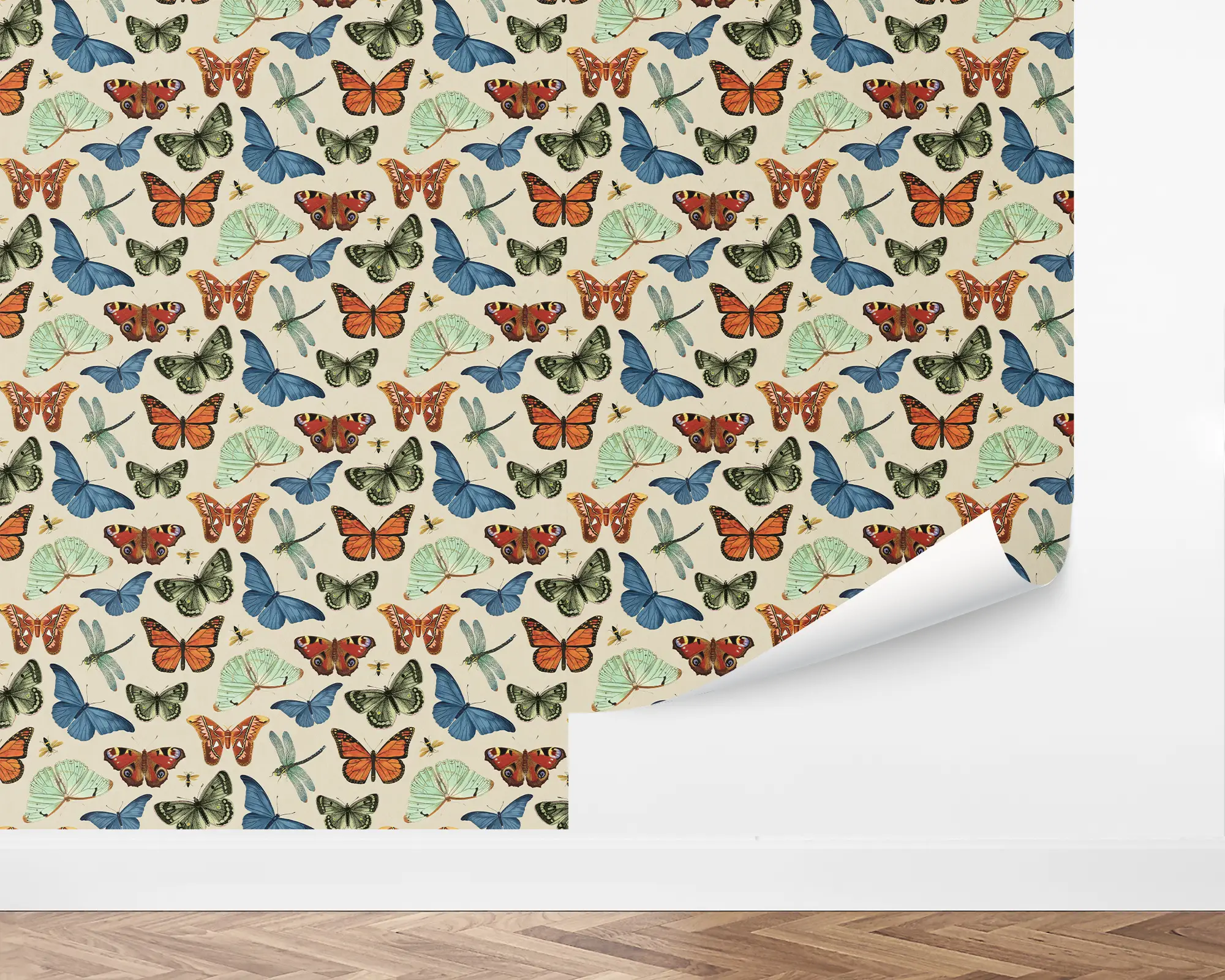 wall