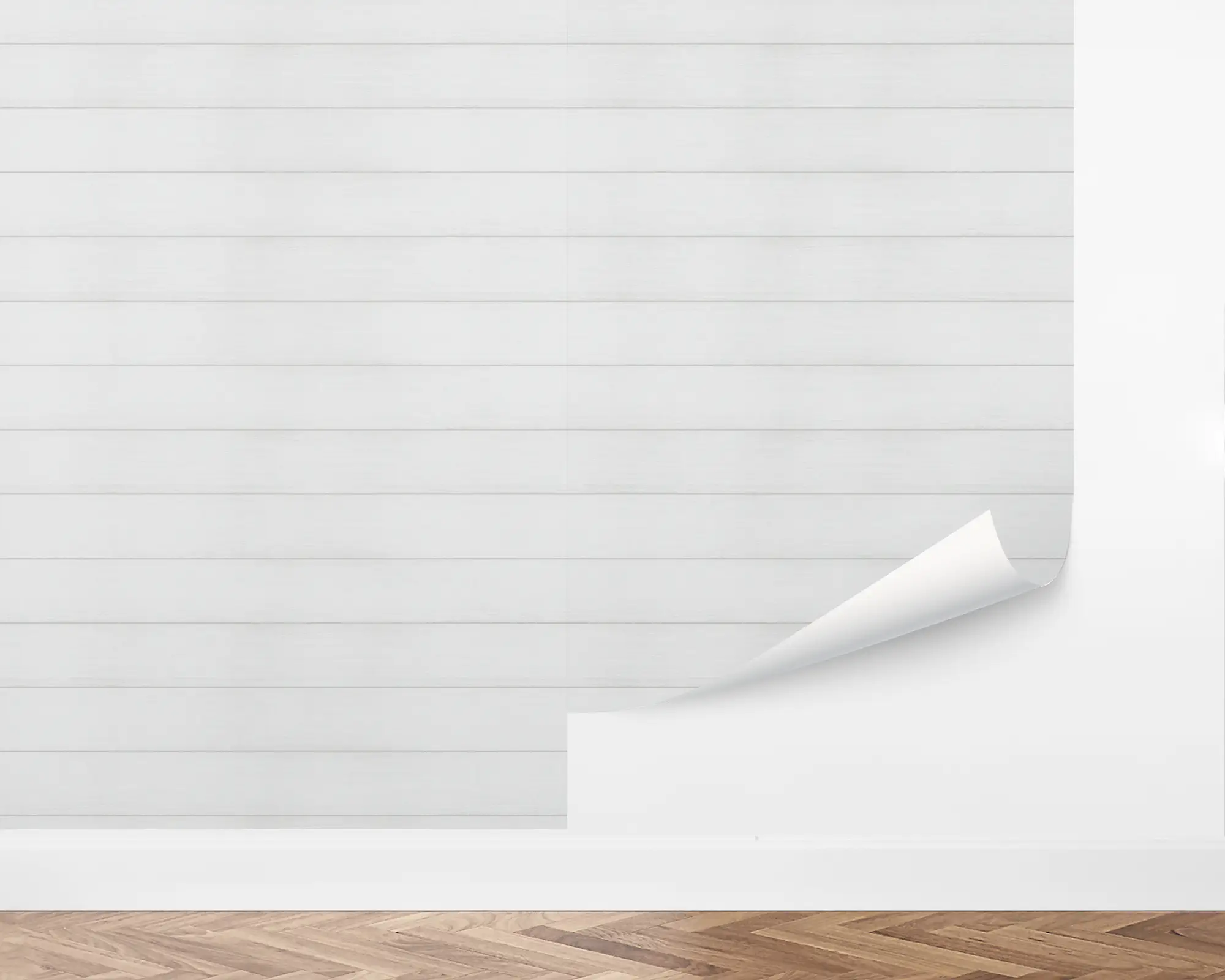 wall